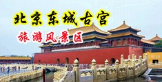 操逼jmdjdhfdczxs77中国北京-东城古宫旅游风景区